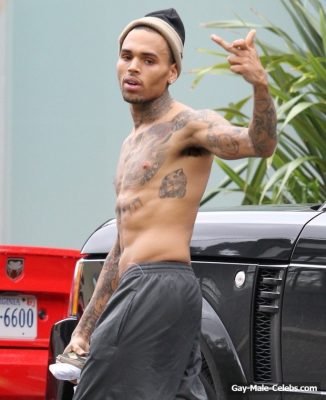 Chris Brown | Celeb Masta 9